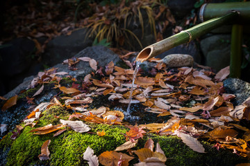 秋のししおどし