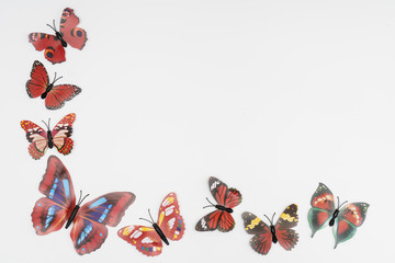 decorative butterflies in a white frame on a white background	