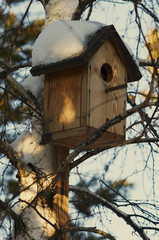 скворечник на дереве
