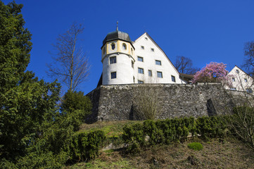 Fototapeta na wymiar Bregenz, Austria. View of the old house and flowering spring tree
