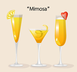 Set of Alcohol Drinks and Cocktails : Vector Illustration