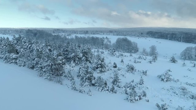 Aerial shot along the forrest among the Carpathian Mountains in winter 4K