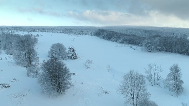 Aerial shot along the meadow among the Carpathian Mountains in winter 4K