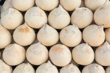 Fresh Peeled Coconut Ball. © thampapon1