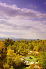 Waldlandschaft im Luberon / FR