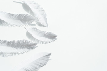 the feathers of a bird made of white paper on white background