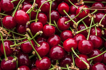 cherry