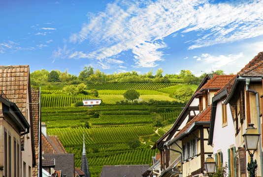 Rouffach.Vue sur les vignobles depuis le village, Alsace. Haut-Rhin. Grand Est