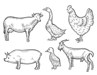 Farm animal set.