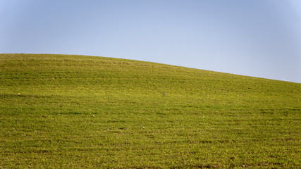 Prado verde bajo cielo azul