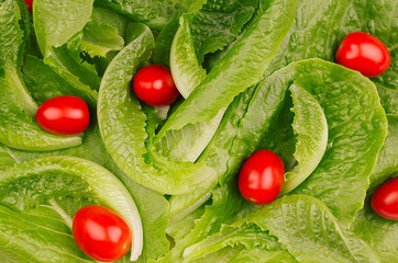 Fresh leaves greens salad and cherry tomatoes, macro, top view.