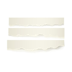 Naklejka premium Vector set of torn paper set. Different stripe shape of blank scraps. Notebook sheets with ripped edges for your design. Realistic isolated illustration on a white background.
