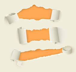 Vector set of torn rolled paper set. Notebook sheets with ripped edges with holes opening orange background. Realistic illustration for your design.
