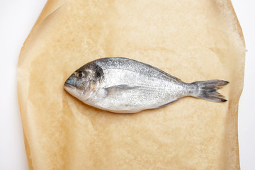 Gilt-head bream fish on the brown paper
