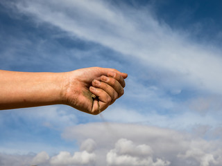 Female hand with sand against the blue sky with clouds