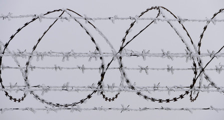Barb wire fence at the cold winter day