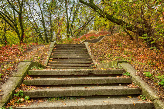 Stone steps in the fall city park. Autumn city mark