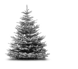 Christbaum Schwarz/Weiß