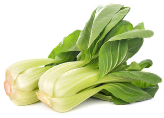 Obraz premium Bok choy vegetable on white background