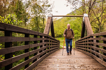 hike man with backpack walking in forest nature outdors bridge.