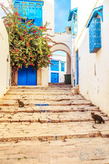 Fototapeta na wymiar White-blue city of Sidi Bou Said, Tunisia.