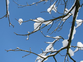 Steyrling - Austria