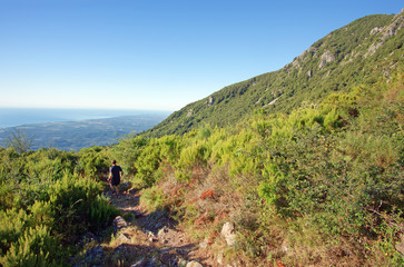 Fototapeta na wymiar mountain runner in upper corsica coast