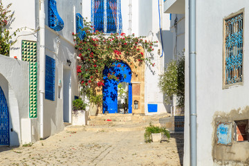 Fototapeta na wymiar White-blue city of Sidi Bou Said, Tunisia.