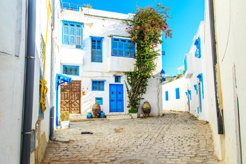 Fototapeta premium White-blue city of Sidi Bou Said, Tunisia.