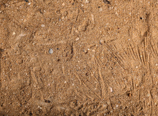 Brown Sand Background