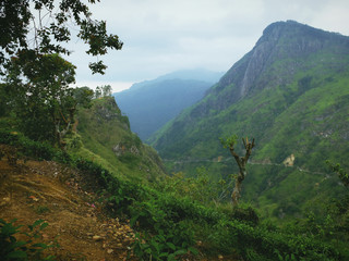 Fototapeta premium Ella - Sri lanka