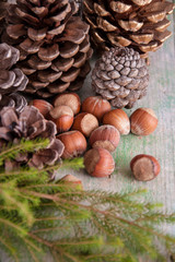 Christmas decor with cones and nuts