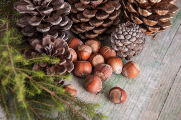 Christmas decor with cones and nuts