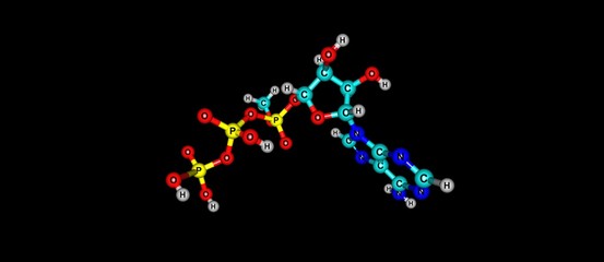 Adenosine triphosphate molecular structure isolated on black