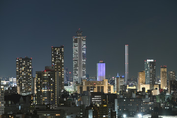 日本の東京都市景観・夜景「池袋の高層ビル群などを望む」