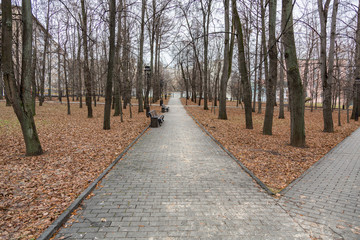 Fototapeta na wymiar Path from stone tiles for pedestrian walks in a modern city park 