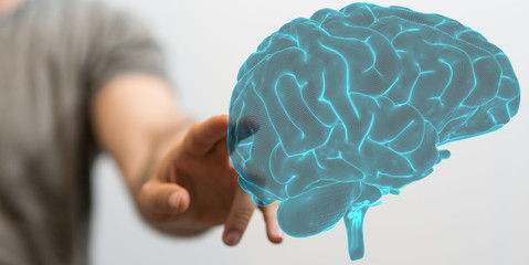 brain