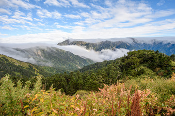Obraz premium Beautiful blue sky and white clouds landscape in Taiwan Hehuan mountain 