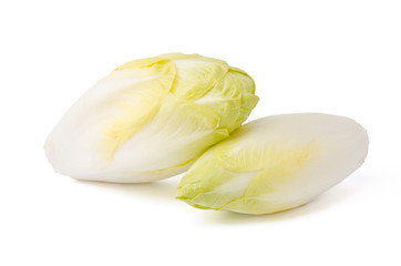 Chicoree Salat, weißer Hintergrund
