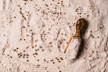 Flour from buckwheat grains