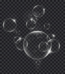 Soap or Water bubbles on tranparency background ,vector design element EPS10 illustration