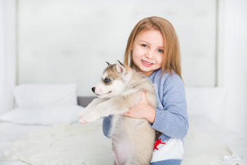 Happy Little girl lying on a bed and hugging with the puppy husky dog