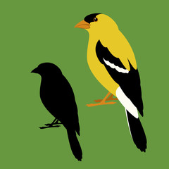 bunting bird  vector illustration flat style   profile view