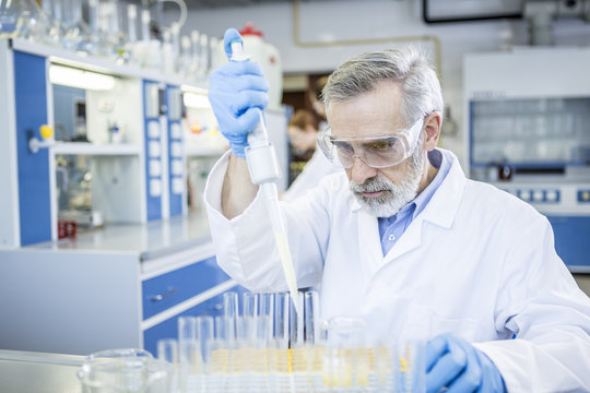 Scientist working in lab pipetting