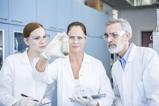 Three scientists in lab examining sample