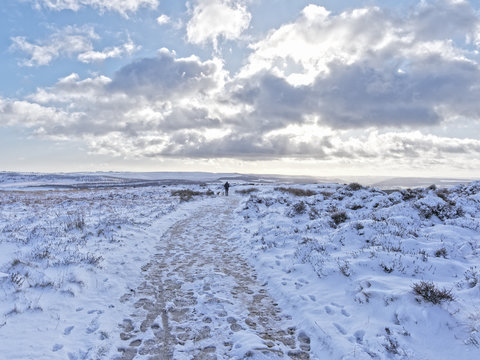 Walking the dogs on the snow covered Curbar Edge high in the Derbyshire Peak District.