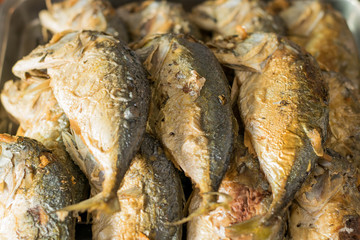 mackerel food at the market