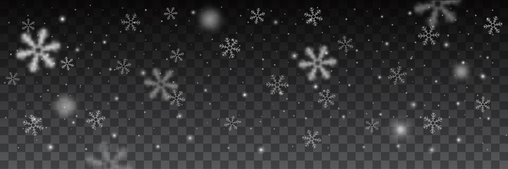 snowflakes in different shapes background.