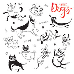 Playing dogs. Funny lap-dog, happy pug, mongrels and other breeds. Set of isolated vector drawings for design - 185373909