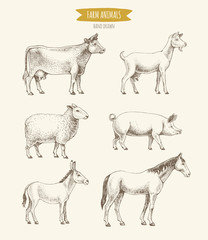 Farm animals collection. Vector illustration of hand drawn farm animals in retro style, including cow, goat, sheep, pig, donkey and horse, isolated on background.